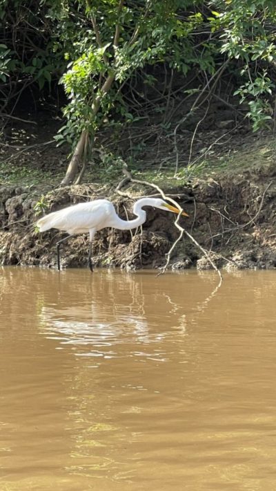 2024_06_26_143921_IMG_1569_iPhone 12 Pro Max