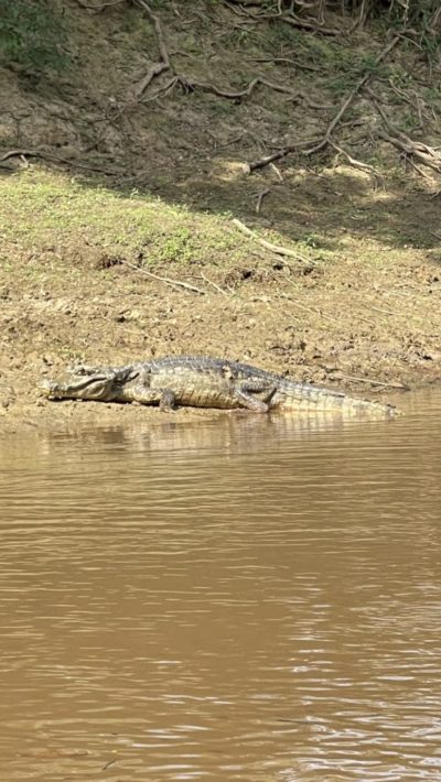 2024_06_26_144224_IMG_1790_iPhone 12 Pro Max