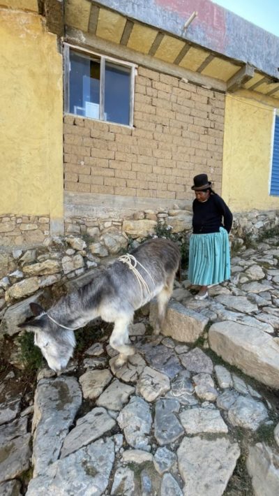 2024_07_03_152004_IMG_2068_iPhone 12 Pro Max